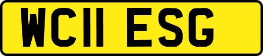 WC11ESG
