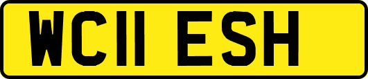 WC11ESH