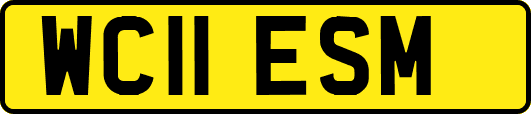 WC11ESM