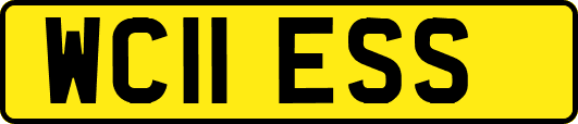 WC11ESS