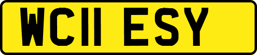 WC11ESY