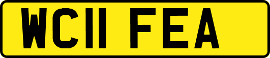 WC11FEA