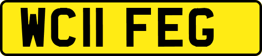 WC11FEG