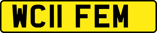 WC11FEM