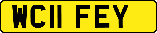 WC11FEY