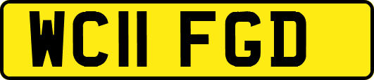 WC11FGD