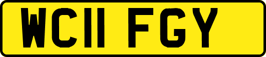 WC11FGY