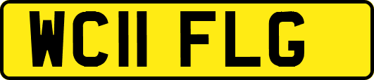 WC11FLG