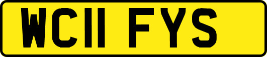 WC11FYS
