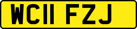 WC11FZJ