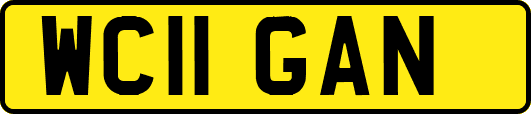 WC11GAN
