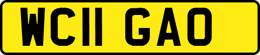 WC11GAO