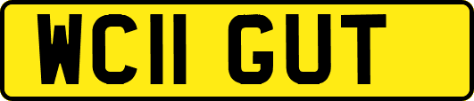WC11GUT