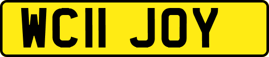 WC11JOY