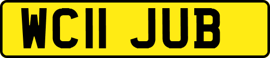 WC11JUB