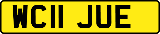 WC11JUE