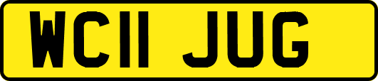 WC11JUG