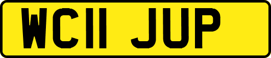 WC11JUP