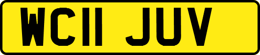 WC11JUV