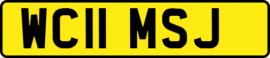 WC11MSJ