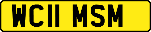 WC11MSM