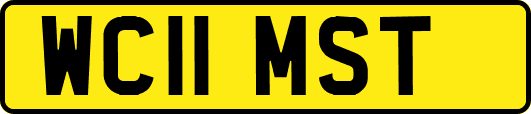 WC11MST