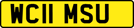 WC11MSU