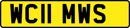 WC11MWS