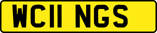 WC11NGS