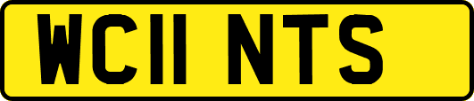 WC11NTS
