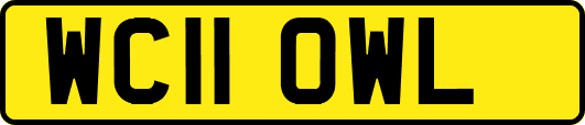 WC11OWL