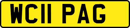 WC11PAG