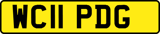 WC11PDG