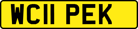 WC11PEK