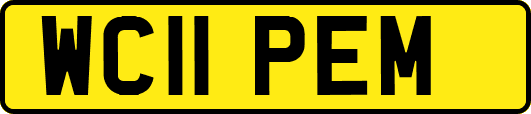 WC11PEM