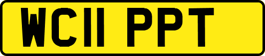 WC11PPT