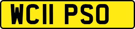 WC11PSO
