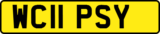 WC11PSY
