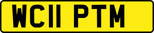 WC11PTM