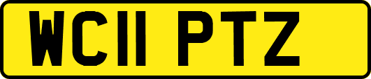 WC11PTZ