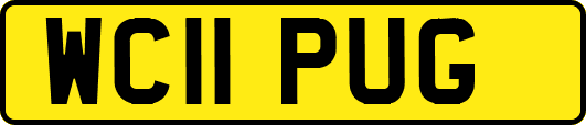 WC11PUG