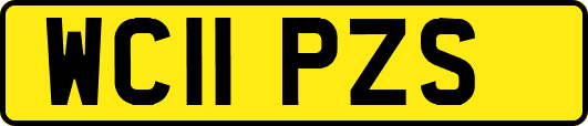 WC11PZS