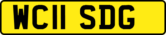 WC11SDG