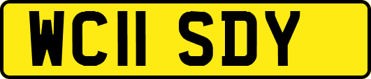 WC11SDY