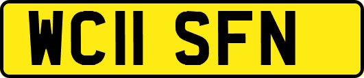 WC11SFN