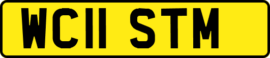 WC11STM
