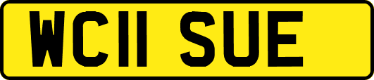 WC11SUE