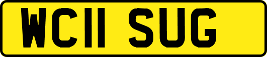 WC11SUG
