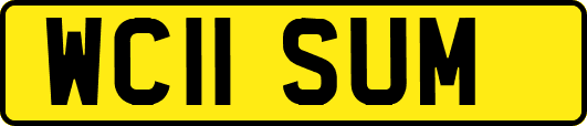 WC11SUM
