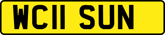 WC11SUN